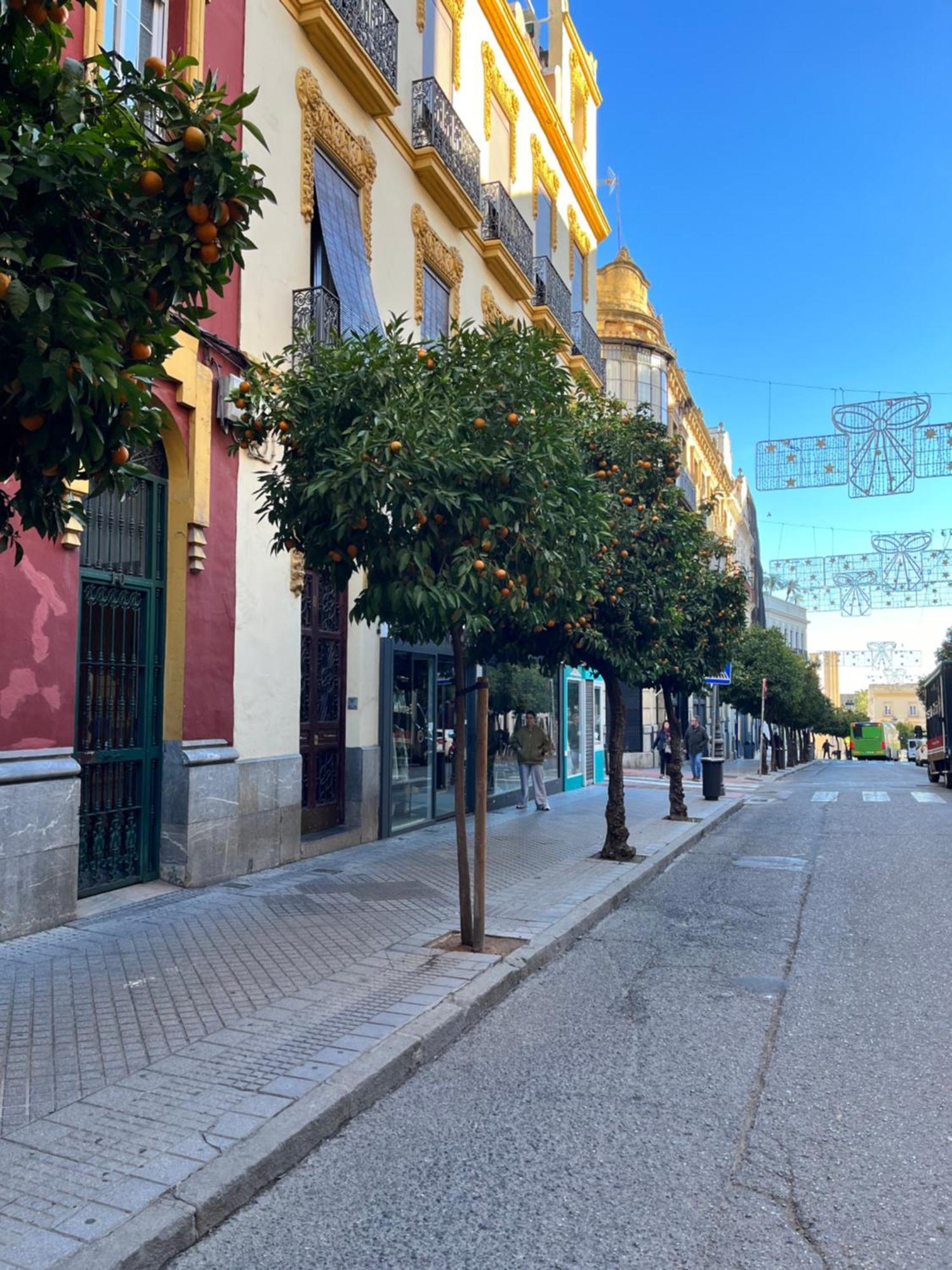 Centro- Apartamento Azonaicas Córdoba Exteriör bild